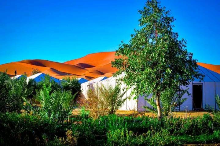 Riad Les Roches 梅尔祖卡 外观 照片